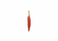 ovulid shell sea charm with solid14k gold hoop