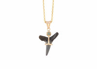 14k Gold Fossilized Shark Tooth Necklace