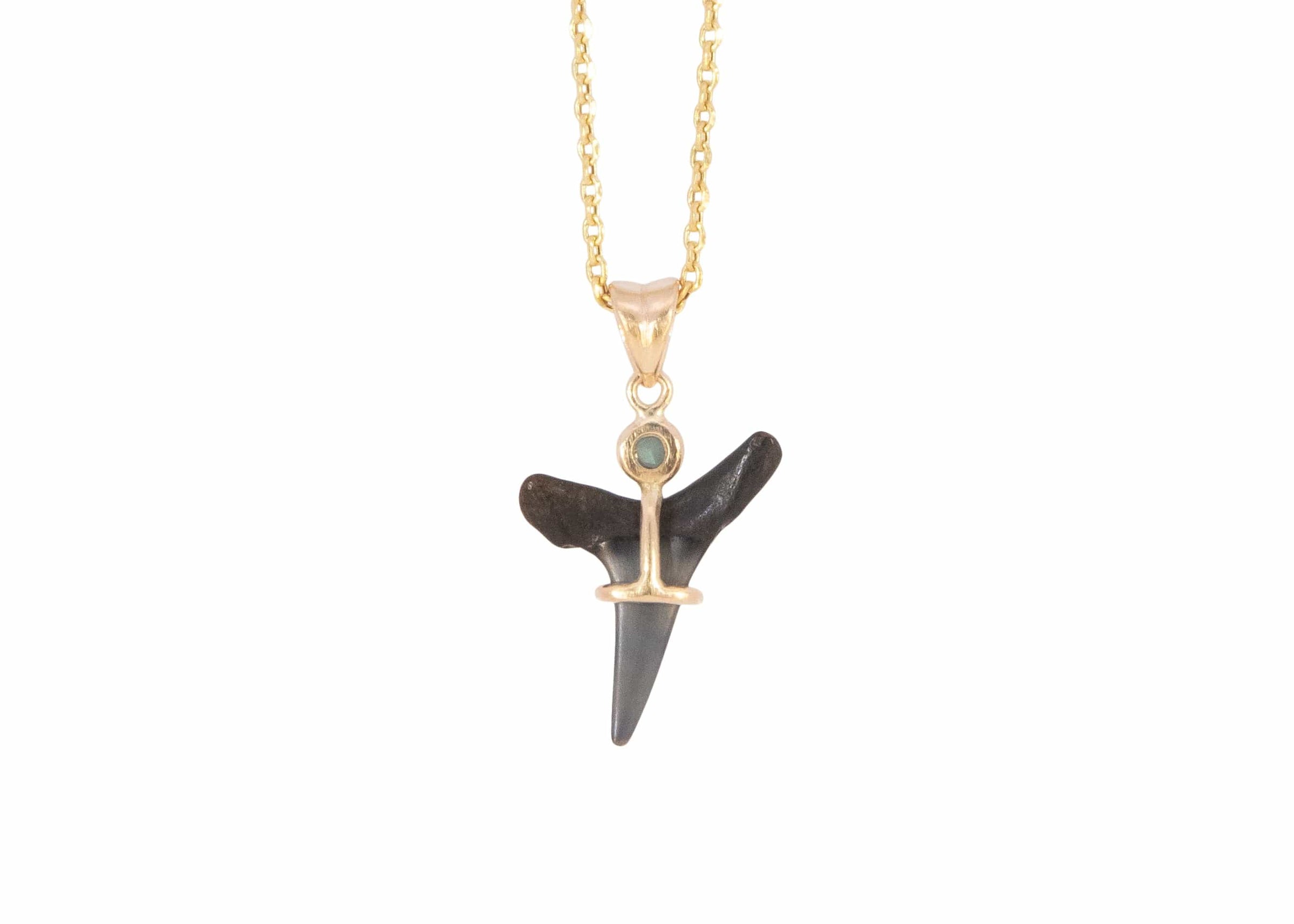 14k Gold Fossilized Shark Tooth Necklace