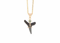 14k Gold Fossilized Shark Tooth Necklace
