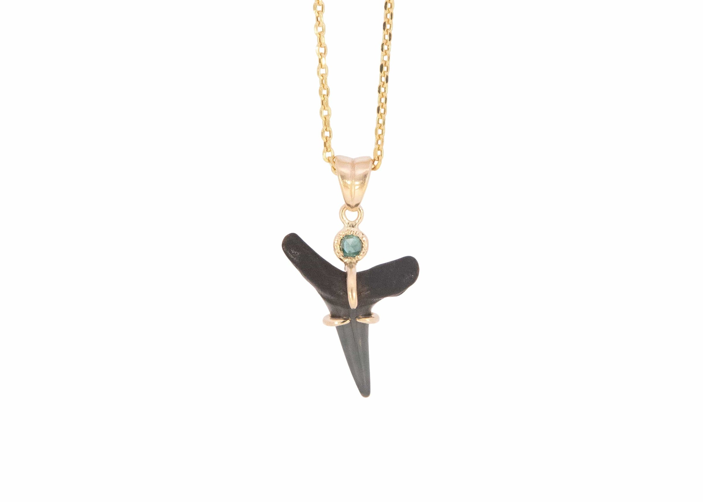14k Gold Fossilized Shark Tooth Necklace