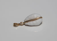 Money Cowrie Shell Charm w/Diamond