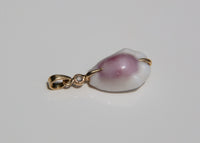 Money Cowrie Shell Charm w/Diamond