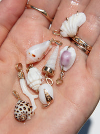 A close-up of a person's palm holding several small seashell-shaped jewelry charms with gold-tone metal loops, including white, pink, brown, and spotted shell designs.