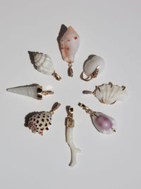 Seven seashell-shaped jewelry charms with gold-tone metal loops, arranged in a circle on a light gray background.