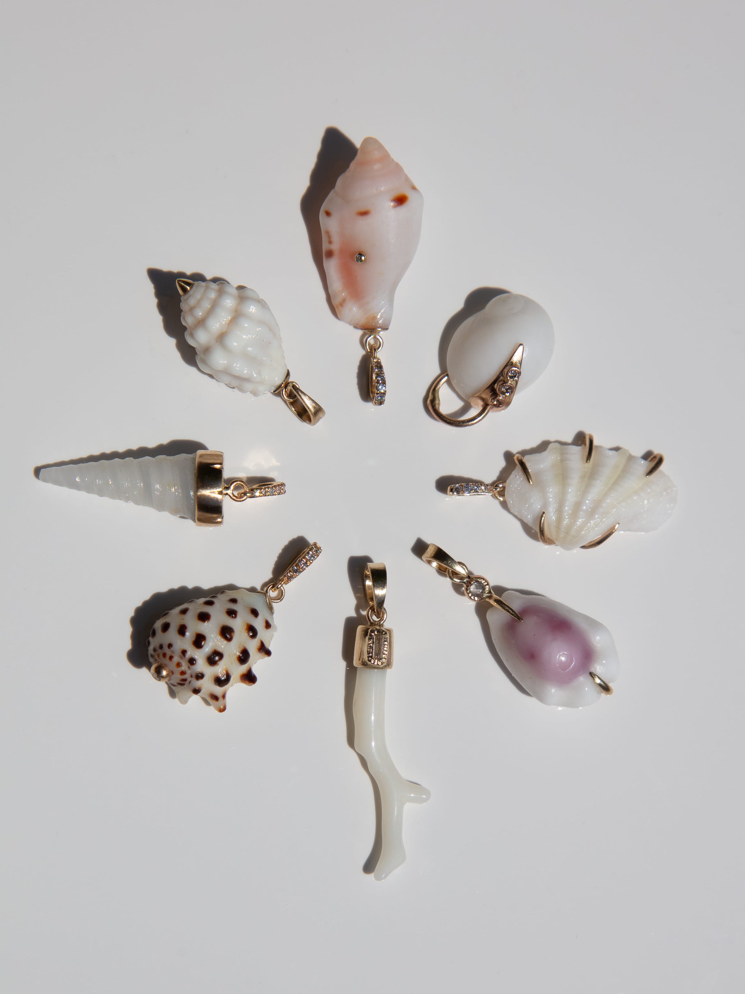 Seven seashell-shaped jewelry charms with gold-tone metal loops, arranged in a circle on a light gray background.