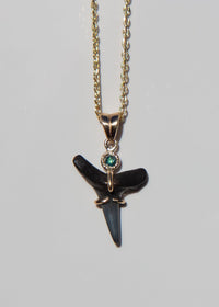 14k Gold Fossilized Shark Tooth Necklace