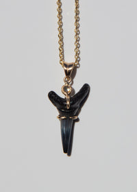 14k Gold Fossilized Shark Tooth Necklace