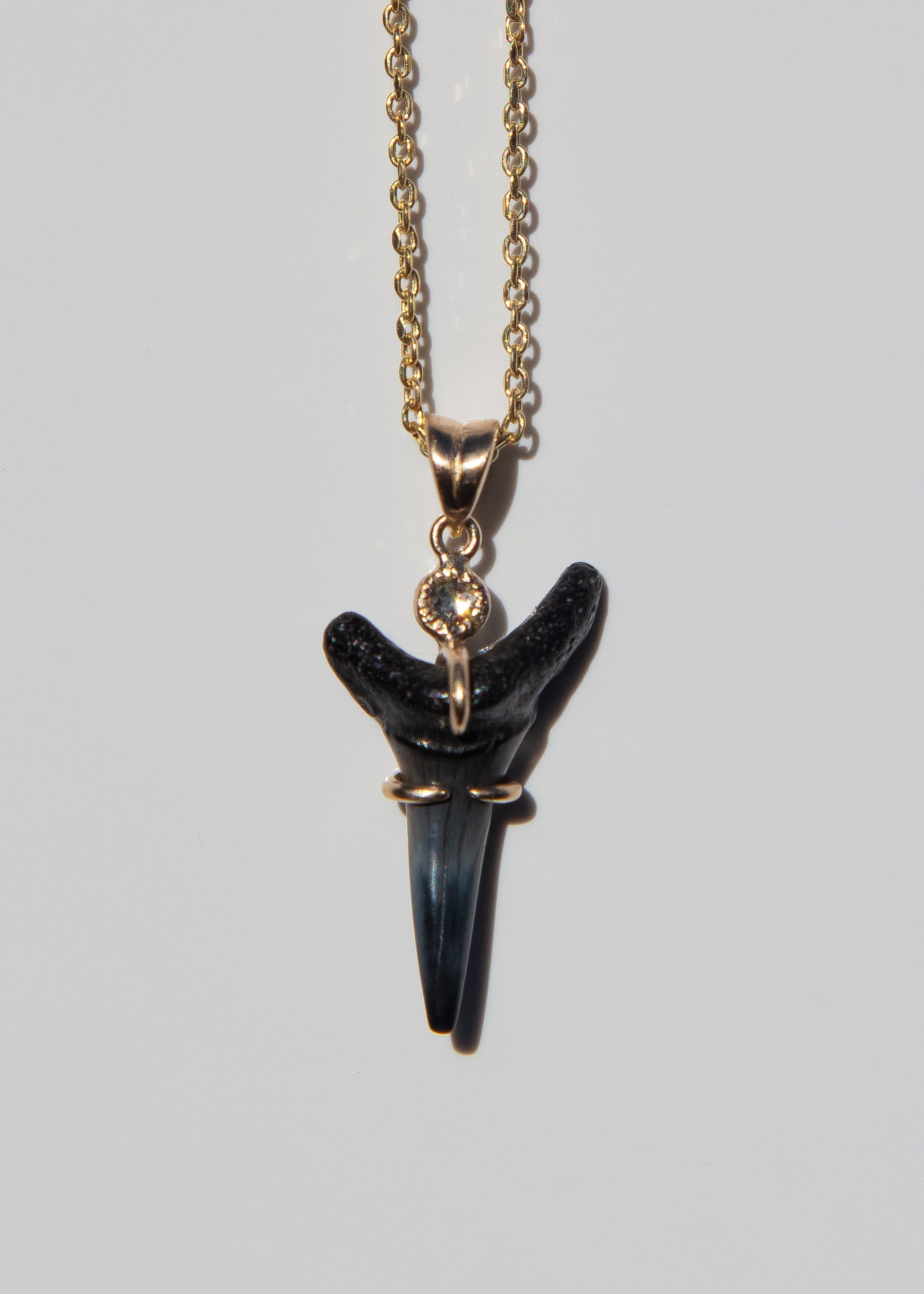 14k Gold Fossilized Shark Tooth Necklace