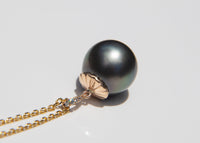 Tahitian Pearl Scallop Shell Necklace