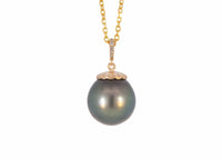 Tahitian Pearl Scallop Shell Necklace