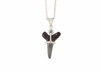 Fossilized Shark Tooth Necklace