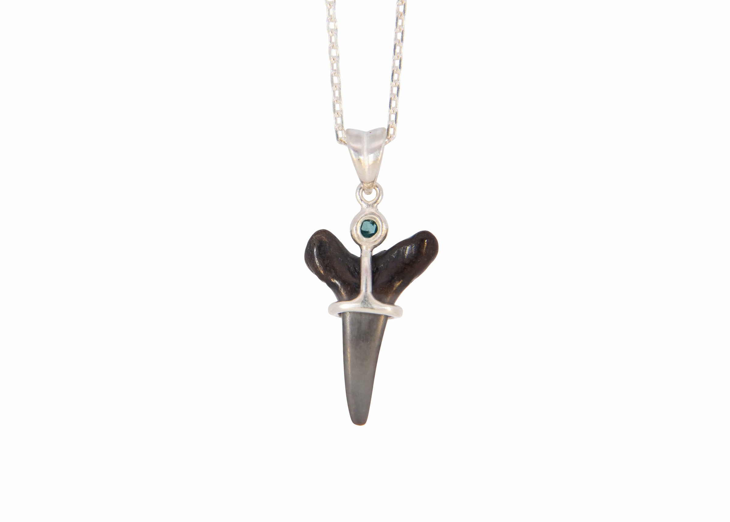 Fossilized Shark Tooth Necklace