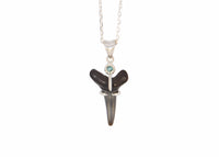 Fossilized Shark Tooth Necklace