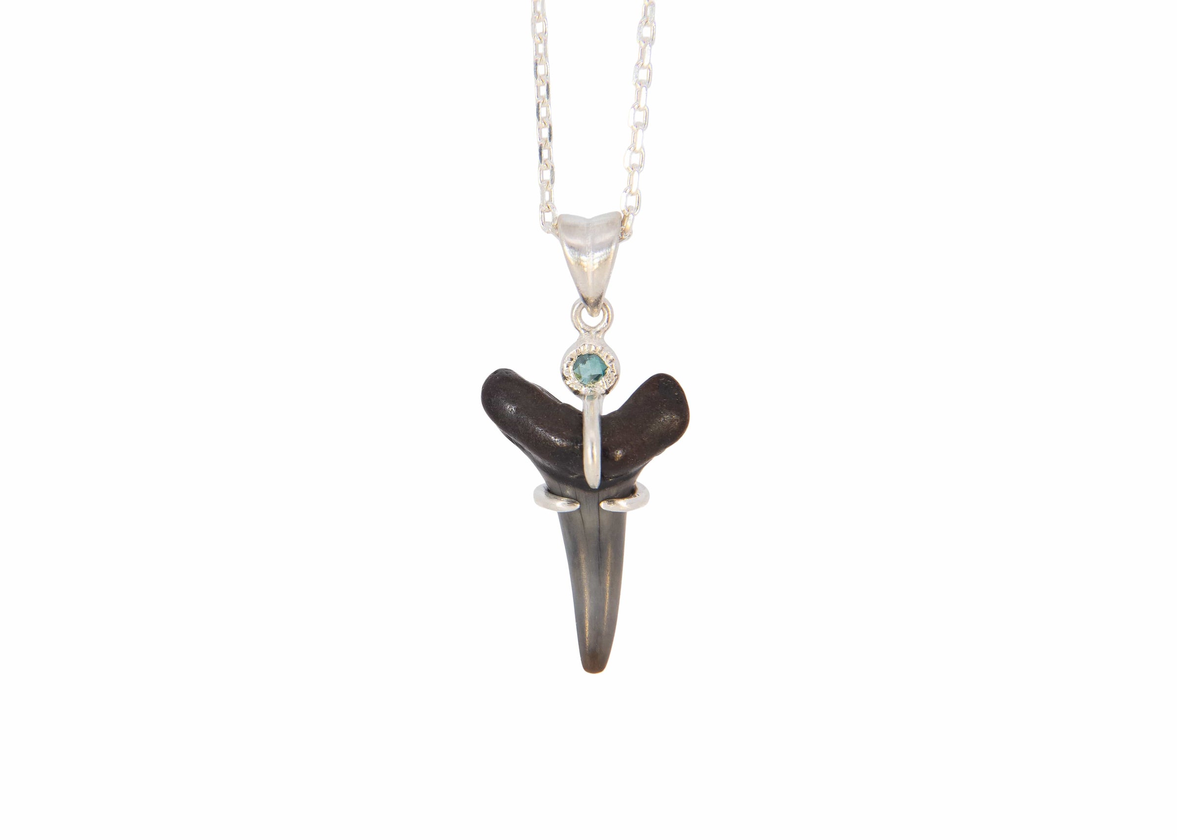 Fossilized Shark Tooth Necklace