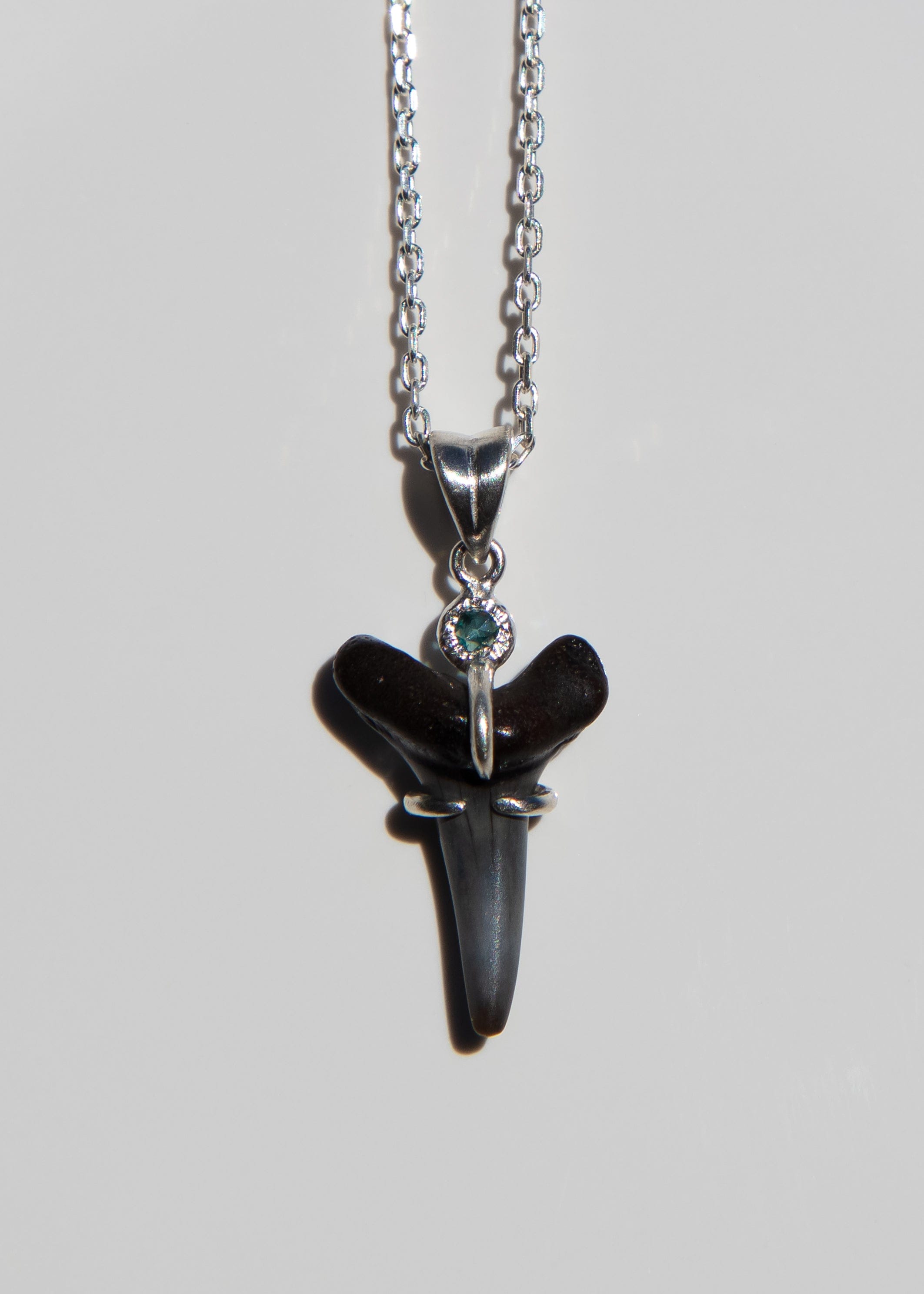 Fossilized Shark Tooth Necklace