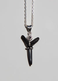 Fossilized Shark Tooth Necklace