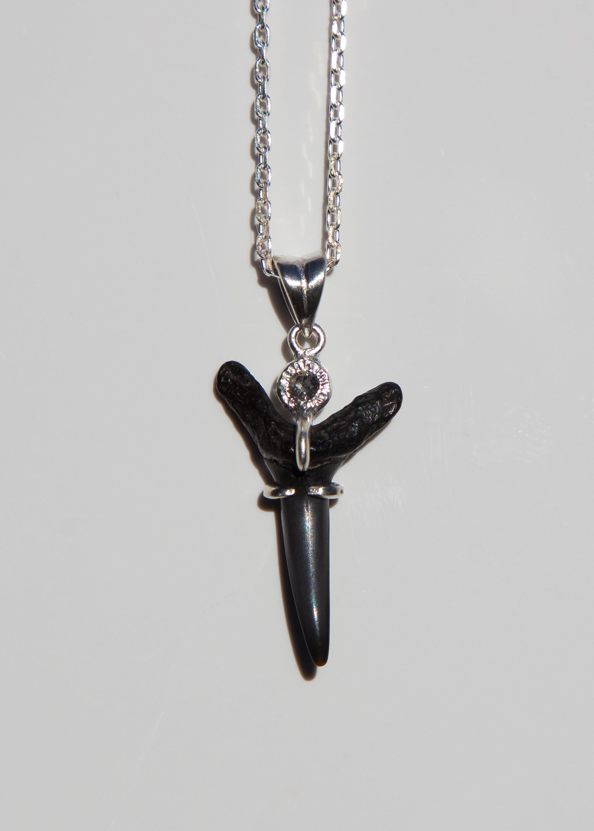 Fossilized Shark Tooth Necklace