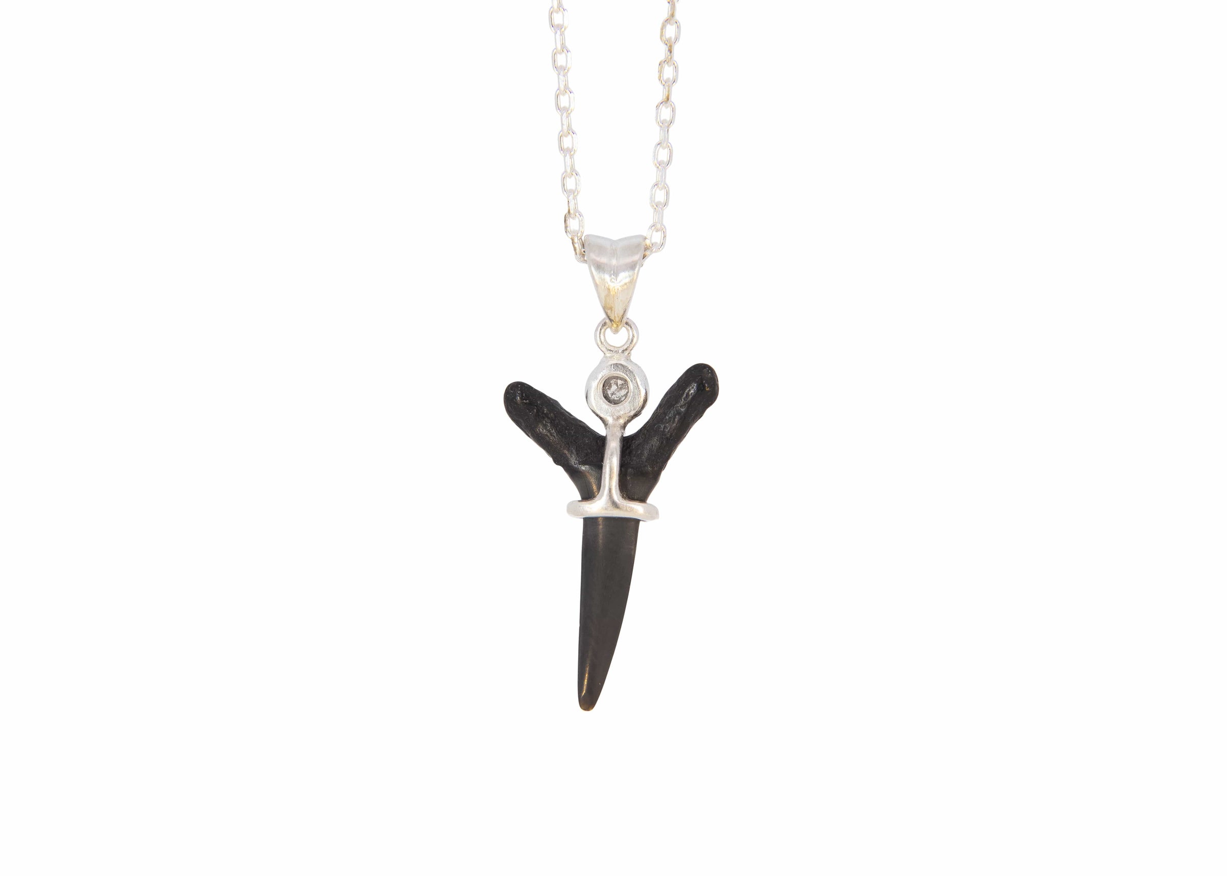 Fossilized Shark Tooth Necklace
