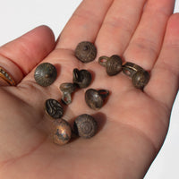 bronze Kievan Rus’ Viking buttons 