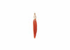 ovulid shell sea charm with solid14k gold hoop