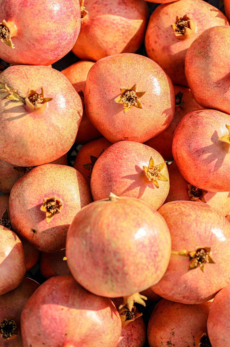 pomegranate fruits in the sun