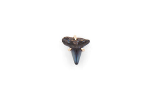 prong set 14k gold shark tooth earring