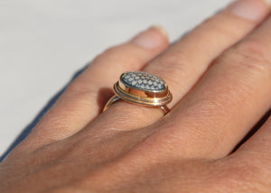 side view of 14k gold ring with snakeskin agate wrasse fish fossil on hand