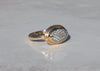 14k gold ring with snakeskin agate wrasse fish fossil
