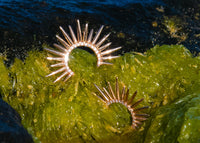 Large Urchin Luxe Earrings